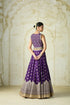 Shabana Lehenga Set